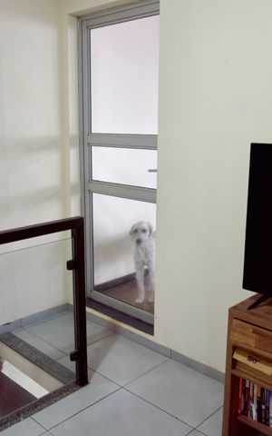 Apartamento à venda com 97m², 2 quartos e 1 vaga Apartamento à venda com 97m², 2 quartos e 1 vagaSala - Cobertura