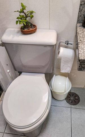 Apartamento para alugar com 86m², 2 quartos e 1 vaga Apartamento para alugar com 86m², 2 quartos e 1 vagaBanheiro Social
