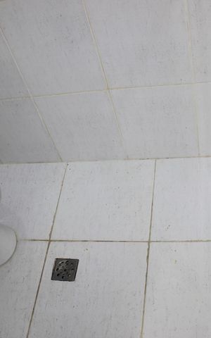 Apartamento à venda com 86m², 3 quartos e 1 vagaBanheiro da dispensa e lavanderia