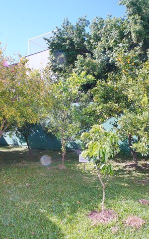 Casa de condomínio à venda com 253m², 3 quartos e 2 vagasÁrea comum