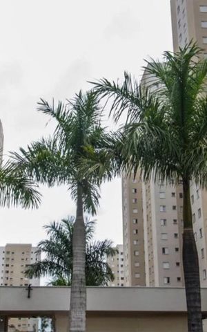 Apartamento à venda com 51m², 2 quartos e 1 vagaFachada