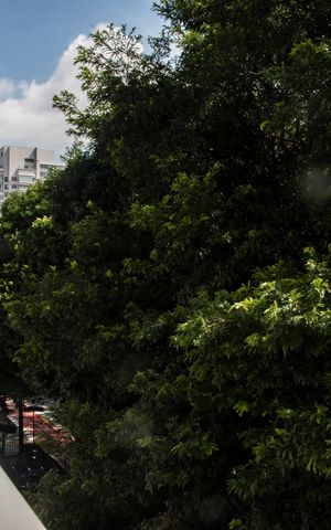 Apartamento para alugar com 72m², 1 quarto e 2 vagasVista da Varanda gourmet