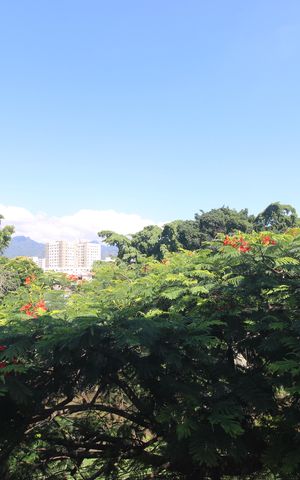 Apartamento à venda com 48m², 2 quartos e 1 vagaQuarto 1 - Vista