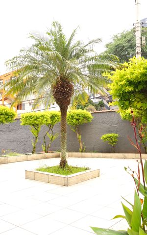 Apartamento à venda com 46m², 2 quartos e 1 vagaÁrea comum