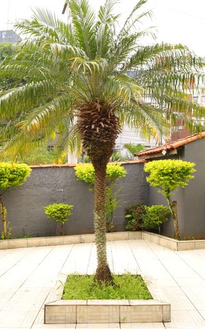 Apartamento à venda com 46m², 2 quartos e 1 vagaÁrea comum