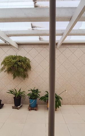 Casa à venda com 275m², 3 quartos e 4 vagas Casa à venda com 275m², 3 quartos e 4 vagasSuíte - vista