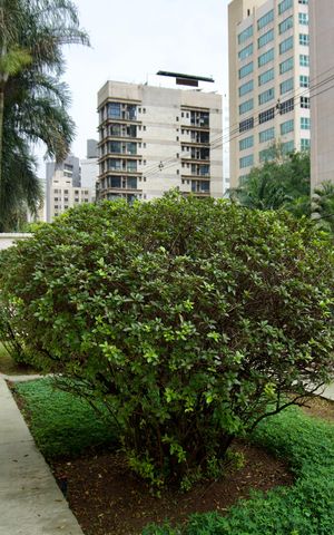 Apartamento à venda com 125m², 3 quartos e 3 vagas Apartamento à venda com 125m², 3 quartos e 3 vagasJardim