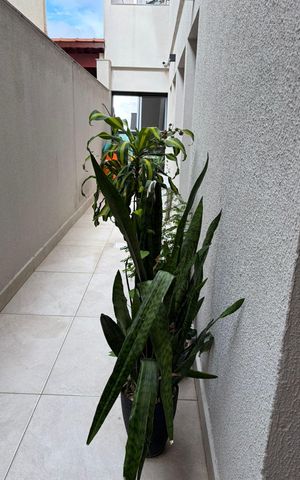 Casa à venda com 220m², 3 quartos e 2 vagas Casa à venda com 220m², 3 quartos e 2 vagasÁrea externa