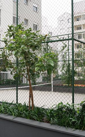 Apartamento à venda com 30m², 1 quarto e 1 vagaQuadra