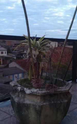 Casa à venda com 160m², 3 quartos e 2 vagas Casa à venda com 160m², 3 quartos e 2 vagasVaranda