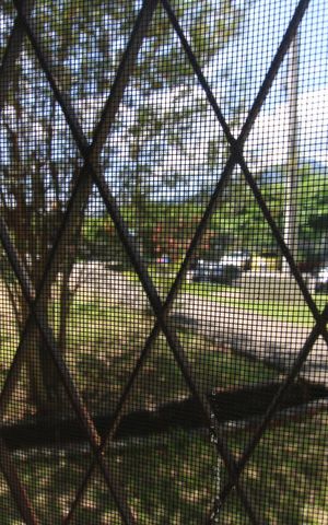 Apartamento para alugar com 55m², 2 quartos e 1 vagaQuarto 1 - Vista