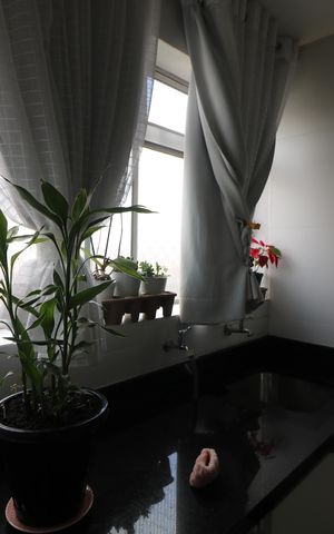 Apartamento para alugar com 68m², 2 quartos e 1 vagaÁrea de Serviço