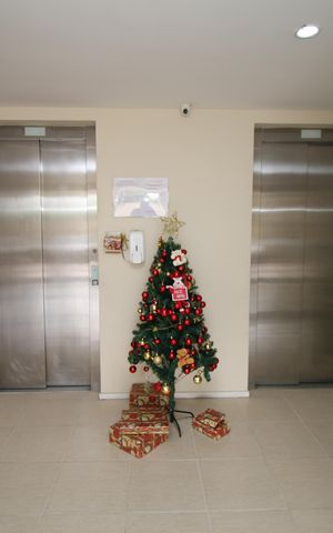 Apartamento à venda com 54m², 2 quartos e 1 vagaÁrea comum - Elevadores