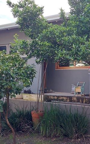 Casa para alugar com 50m², 1 quarto e sem vaga Casa para alugar com 50m², 1 quarto e sem vagaÁrea externa