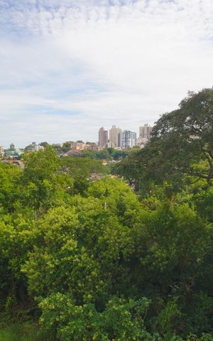 Apartamento à venda com 71m², 3 quartos e 2 vagasSala - Vista