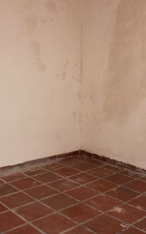 Casa à venda com 210m², 5 quartos e 1 vagaQuarto 2