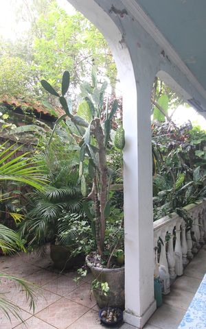 Casa de condomínio para alugar com 450m², 6 quartos e 3 vagasVaranda