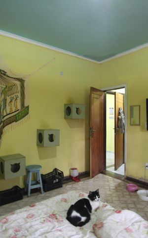 Casa de condomínio para alugar com 450m², 6 quartos e 3 vagasSuíte 3