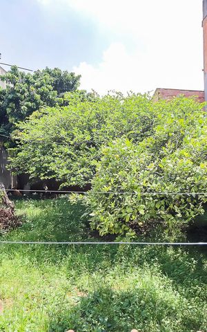 Casa à venda com 315m², 3 quartos e 3 vagasJardim