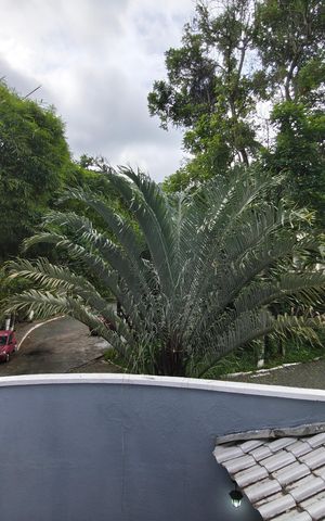 Casa de condomínio para alugar com 310m², 4 quartos e 3 vagas