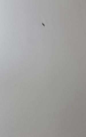 Apartamento à venda com 100m², 2 quartos e sem vaga Apartamento à venda com 100m², 2 quartos e sem vagaBanheiro de serviço