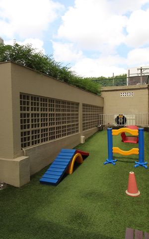 Apartamento à venda com 87m², 3 quartos e 2 vagasÁrea Comum - Pet Place