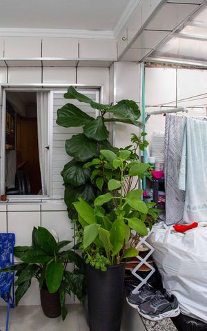 Apartamento à venda com 76m², 2 quartos e 1 vagaÁrea de Serviço