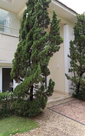 Casa de condomínio à venda com 483m², 4 quartos e 4 vagasFachada