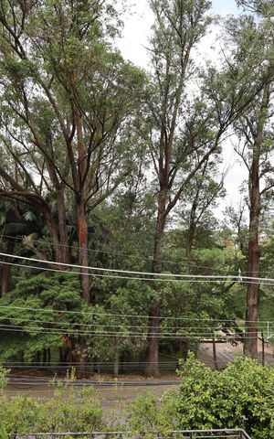 Casa de condomínio à venda com 483m², 4 quartos e 4 vagasVista da Varanda