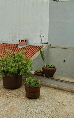 Casa para alugar com 350m², 3 quartos e 3 vagasVaranda da Suíte 1  