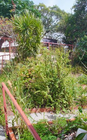 Casa para alugar com 300m², 2 quartos e sem vagaJardim