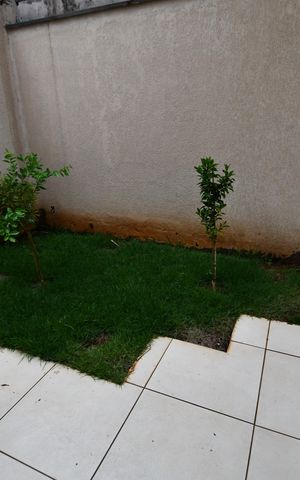 Casa de condomínio à venda com 120m², 3 quartos e 2 vagasSala - Vista