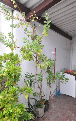 Casa à venda com 132m², 2 quartos e 1 vagaQuintal
