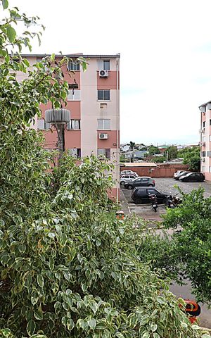 Apartamento à venda com 40m², 2 quartos e 1 vagaVista do Quarto 2