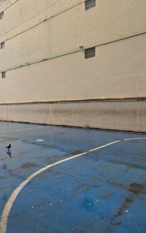 Apartamento à venda com 82m², 2 quartos e 1 vaga Apartamento à venda com 82m², 2 quartos e 1 vagaQuadra Esportiva