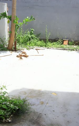 Casa de condomínio para alugar com 300m², 2 quartos e 2 vagasQuintal