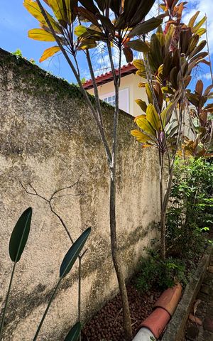 Casa de condomínio à venda com 460m², 5 quartos e 2 vagas Casa de condomínio à venda com 460m², 5 quartos e 2 vagasÁrea externa