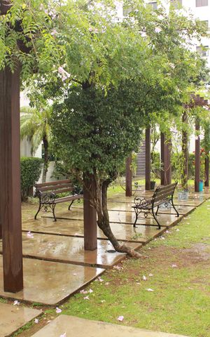 Apartamento à venda com 61m², 2 quartos e 1 vagaÁrea comum