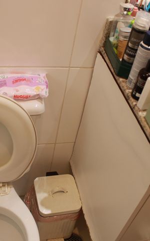 Apartamento à venda com 61m², 2 quartos e 1 vagaBanheiro da Suíte