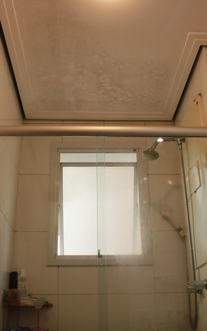 Apartamento à venda com 61m², 2 quartos e 1 vagaBanheiro da Suíte