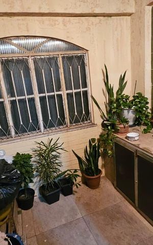 Casa de condomínio para alugar com 128m², 3 quartos e sem vaga