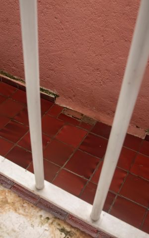 Casa para alugar com 110m², 2 quartos e sem vagaVista do Quarto 2