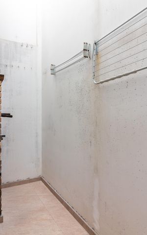 Casa de condomínio à venda com 178m², 3 quartos e 3 vagas Casa de condomínio à venda com 178m², 3 quartos e 3 vagasQuintal