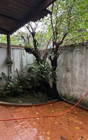 Casa à venda com 320m², 3 quartos e 2 vagas Casa à venda com 320m², 3 quartos e 2 vagasQuintal