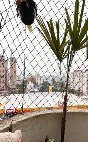 Apartamento para alugar com 100m², 3 quartos e 1 vaga Apartamento para alugar com 100m², 3 quartos e 1 vagaVista do Quarto 1