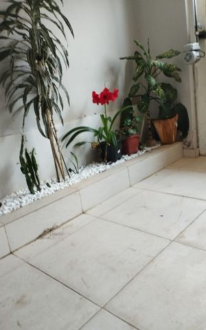 Casa à venda com 291m², 6 quartos e 2 vagasÁrea externa