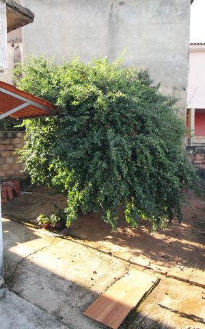 Casa à venda com 560m², 2 quartos e 5 vagasQuintal