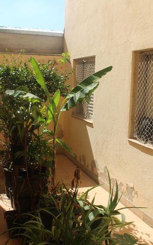 Apartamento à venda com 137m², 3 quartos e 1 vagaQuintal