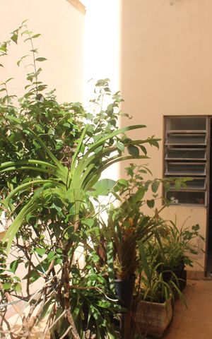 Apartamento à venda com 137m², 3 quartos e 1 vagaQuintal