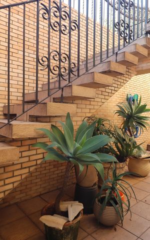 Casa à venda com 380m², 3 quartos e 7 vagasQuintal 2